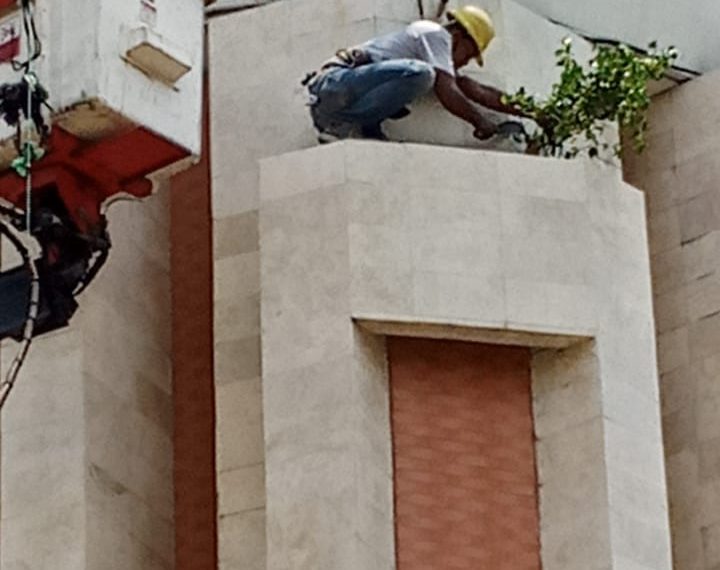 Pohon Liar Monumen Jayandaru Dibersihkan