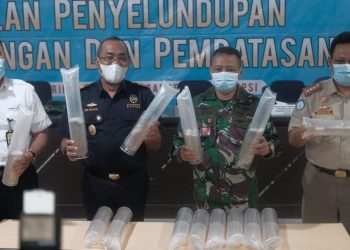 Bea Cukai Juanda Gagalkan Penyelundupan 29.250 Benih Lobster Ilegal