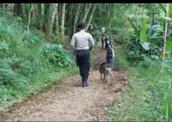 Polisi Usut Pembunuhan Sadis Kakek Renta