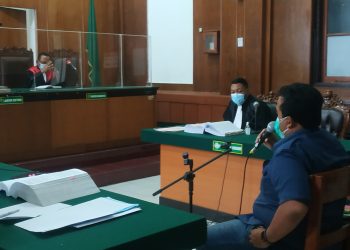 Saksi Ahli Pidana Bicara Normatif, Terdakwa Christian Halim Tak Menanggapi