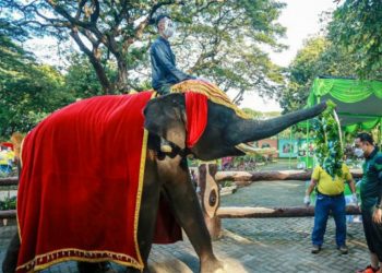 Wali Kota Surabaya Eri Cahyadi Ajak Warga Jadi Ortu Asuh Satwa