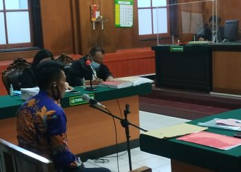 Dua Saksi Ahli Pidana Simpulkan Kasus Christian Halim Masuk Ranah Perdata