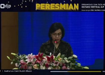 DJP Reorganisasi Instansi Vertikal