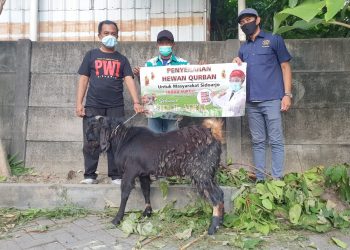 Indah Kurnia Bagikan Hewan Kurban ke Warga Surabaya dan Sidoarjo