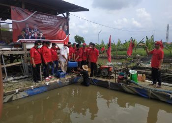 Ketum PDIP Megawati Bantu 15 Ribu Bibit Ikan Lele ke Tiga Desa Sidoarjo
