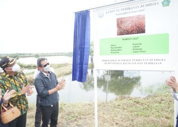 Menteri KKP Canangkan Desa Kupang Jabon Kampung Budidaya Rumput Laut