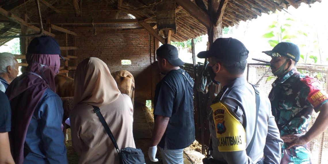 Polsek Junrejo Lakukan Pendampingan Vaksinasi PMK Hewan Ternak