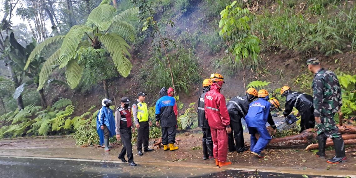 Polres Batu Bersama Stakeholder Evakuasi Pohon Tumbang Tutup Jalan