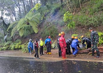 Polres Batu Bersama Stakeholder Evakuasi Pohon Tumbang Tutup Jalan
