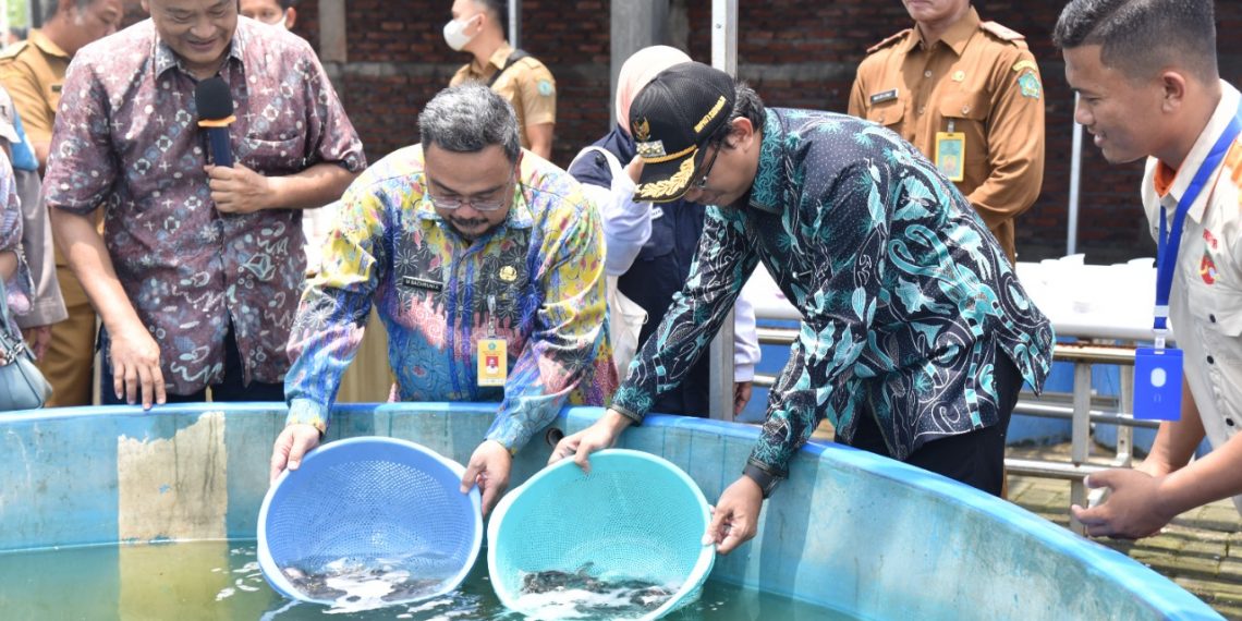 Bupati Sidoarjo Gus Muhdlor dan Kadis Perikanan Bachruni Tebar Ribuan Benih Ikan Lele di P2MKP