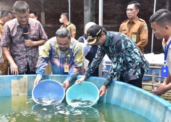 Bupati Sidoarjo Gus Muhdlor dan Kadis Perikanan Bachruni Tebar Ribuan Benih Ikan Lele di P2MKP