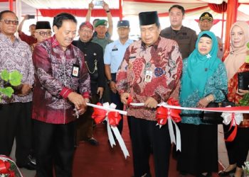 Kepala Perpusnas: Literasi Munculkan Kreativitas dan Inovasi