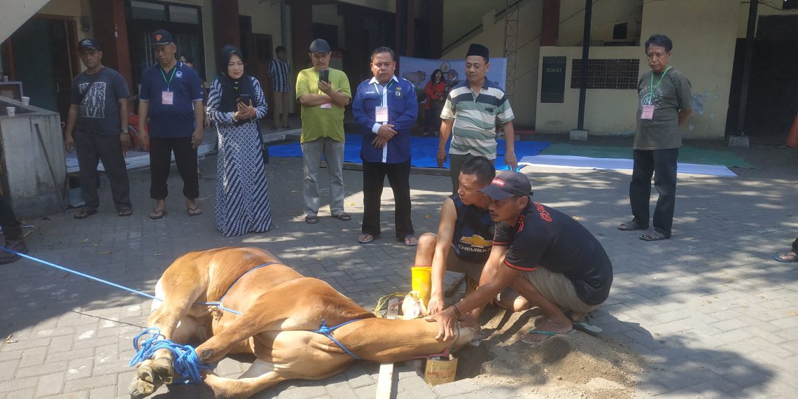 FKUB Sidoarjo Bagikan Daging Kurban Ke Masyarakat Lintas Agama