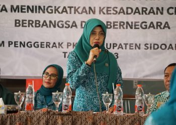 Perkuat Kader PKBN PKK Desa