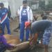 DPD PAN Sidoarjo Sembelih 2 Ekor Sapi Kurban