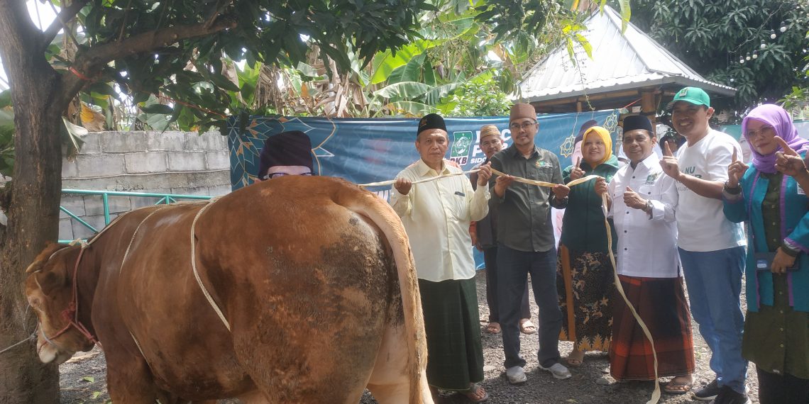 Kurban 3 Ekor Sapi, PKB Sidoarjo Berharap Raih Kemenangan Pemilu 2024
