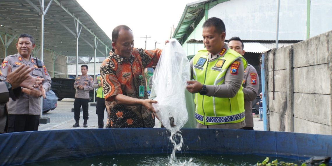 Dukung Ketahanan Pangan, Kapolresta Sidoarjo Tebar 5.000 Benih Ikan Lele