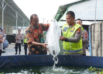 Dukung Ketahanan Pangan, Kapolresta Sidoarjo Tebar 5.000 Benih Ikan Lele