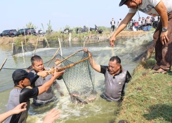 Polisi Sidoarjo Panen Ikan bersama Warga di Tambak Banjarpanji