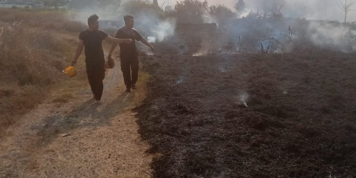 Bhabinkamtibmas Desa Tambak Kalisogo Berupaya Padamkan Kebakaran Lahan