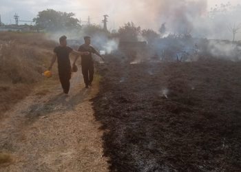 Bhabinkamtibmas Desa Tambak Kalisogo Berupaya Padamkan Kebakaran Lahan