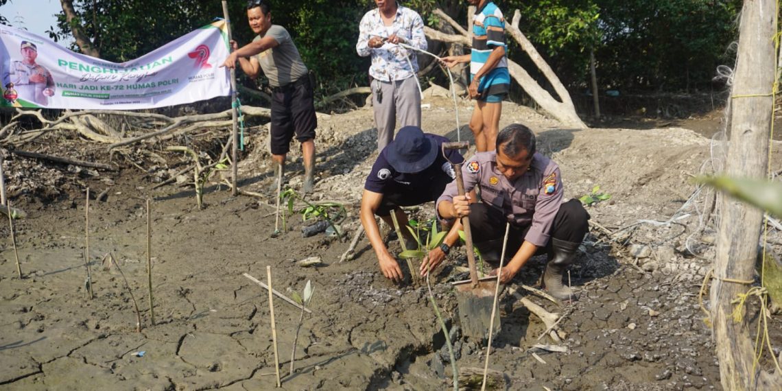 Cegah Abrasi, Humas Polresta Sidoarjo Tanam Mangrove di Kawasan Pesisir