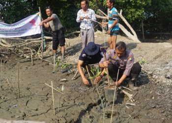 Cegah Abrasi, Humas Polresta Sidoarjo Tanam Mangrove di Kawasan Pesisir
