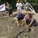 Cegah Abrasi, Humas Polresta Sidoarjo Tanam Mangrove di Kawasan Pesisir