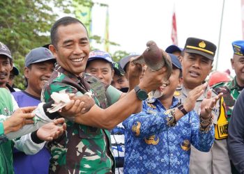 Lomba Merpati Balap Liga Jatim Bersatu 2023  Piala Pangdam V/Brawijaya Cup