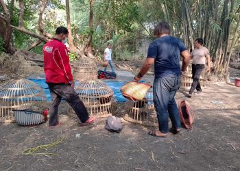 Polsek Balongbendo Gerebek Lokasi Sabung Ayam
