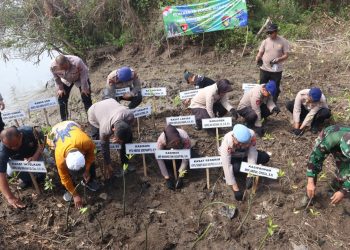 Rayakan HUT Korps Brimob dan Polairud, Polresta Sidoarjo Tanam Mangrove