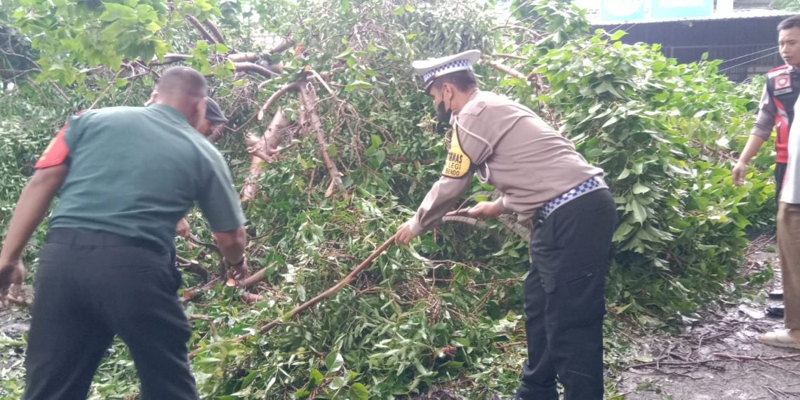 Gotong Royong Evakuasi Pohon Tumbang di Jalan Raya Jabaran Balongbendo