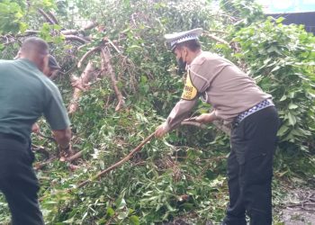 Gotong Royong Evakuasi Pohon Tumbang di Jalan Raya Jabaran Balongbendo