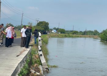 Plt Bupati Sidoarjo H Subandi Perintahkan Dinas PU Bina Marga Segera Perbaiki  Plengsengan Jalan Beton di Kedungbocok