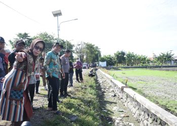 Plt Bupati Sidoarjo Subandi Sidak 120 Hektare Sawah Desa Kupang Kekeringan