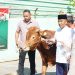Danrem 084/Bhaskara Jaya Menyerahkan Hewan Qurban Kepada Panitia Qurban Masjid Al-Wathon Korem