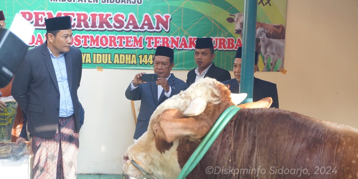Plt Bupati Sidoarjo Serahkan Sapi Kurban 1 Ton, H Subandi Berharap Berkah buat Semua