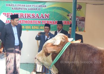 Plt Bupati Sidoarjo Serahkan Sapi Kurban 1 Ton, H Subandi Berharap Berkah buat Semua