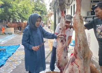 Bacawabup Hj Mimik Idayana Kurban 10 Ekor Sapi, Dibagikan ke 1000 Warga Desa