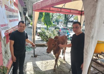 DPC Partai Gerindra Sidoarjo Terima Dua Sapi Kurban Bantuan BHS dan Achmad Dhani