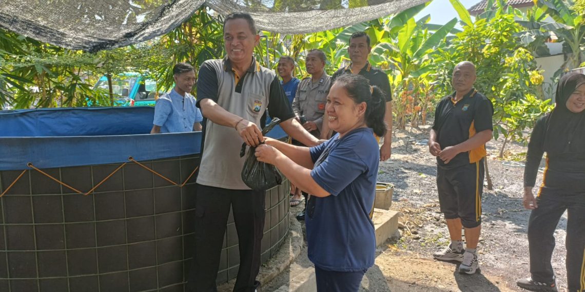 Polsek Tanggulangin Ngopi dan Panen Ikan Lele bersama Warga