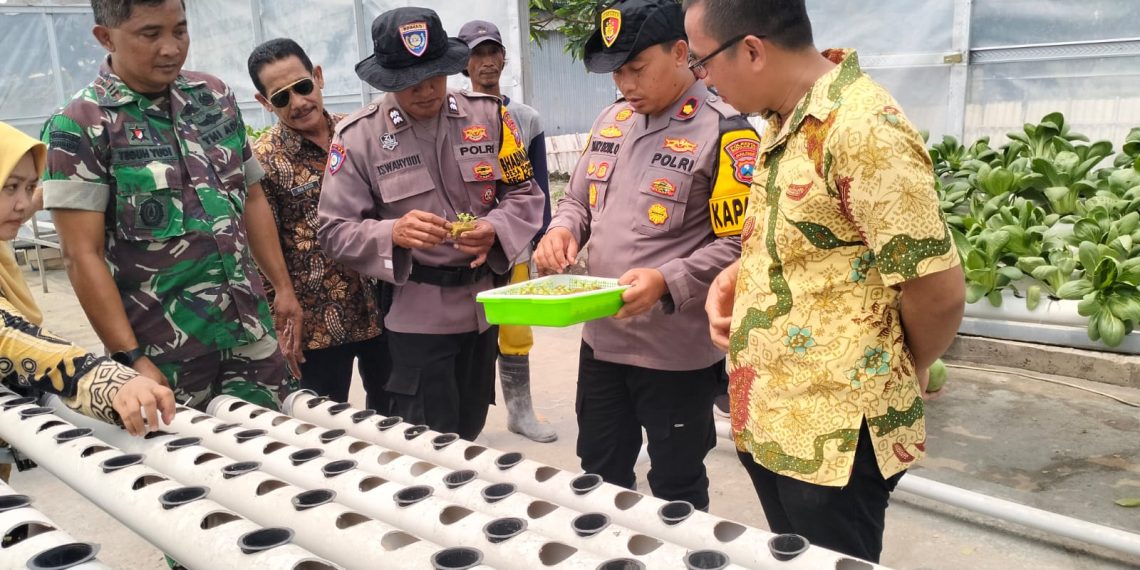 Kapolsek Krian Tinjau Program Ketahanan Pangan Di Desa Ponokawan