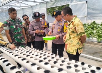 Kapolsek Krian Tinjau Program Ketahanan Pangan Di Desa Ponokawan