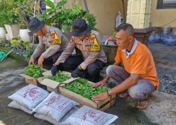 Polsek Balongbendo Salurkan Bibit Tanaman untuk Lahan Pangan Bergizi