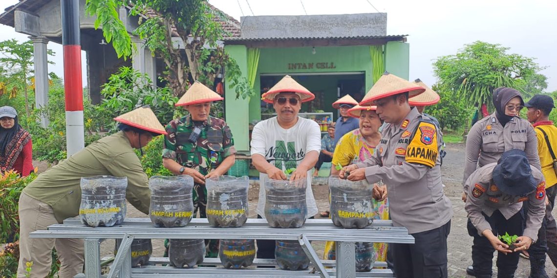 Penyerahan Bibit Tanaman dan Penyuluhan Ketahanan Pangan di Tambak Kalisogo Jabon