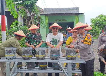 Penyerahan Bibit Tanaman dan Penyuluhan Ketahanan Pangan di Tambak Kalisogo Jabon