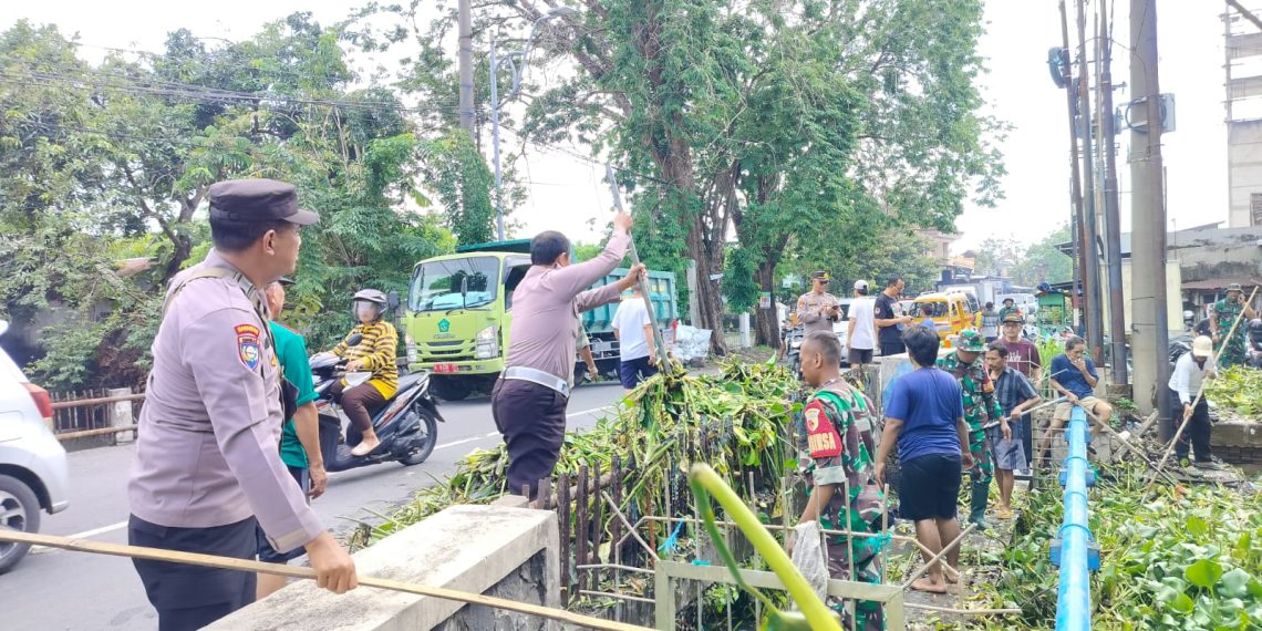 Cegah Banjir, Bersama Bersihkan Sungai Desa Sekardangan dari Enceng Gondok
