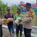 Polsek Balongbendo Serahkan Pupuk untuk Tanaman Jagung ke Masyarakat