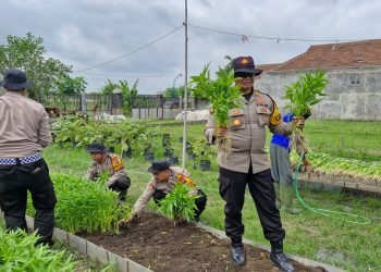 Polsek Balongbendo bersama Warga Bakungtemenggungan Panen Kangkung