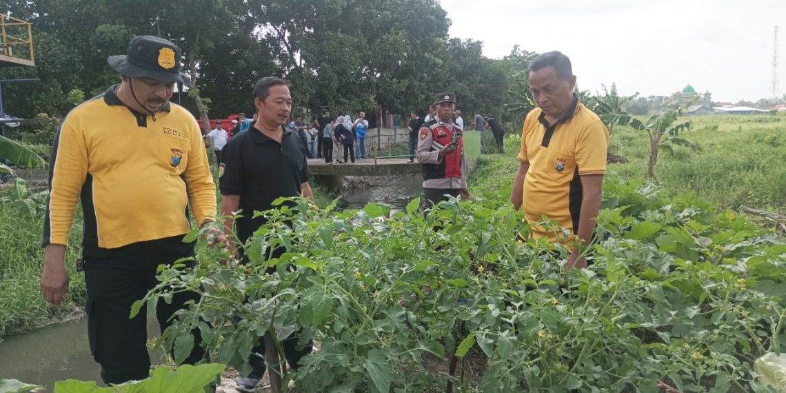 Kapolsek Krian Turun Langsung Cek Ketahanan Pangan di Desa Junwangi